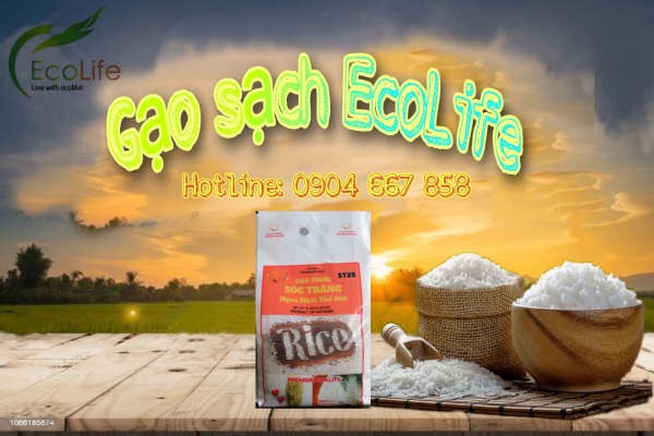 Diễn đàn rao vặt tổng hợp:  Dai-ly-gao-ecolife(4)