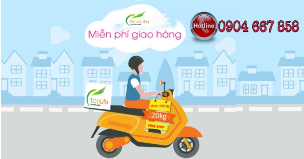 Chia sẻ kinh nghiệm lựa chọn đại lý gạo ST25 đảm bảo chất lượng Giao-hang-mien-phi-tan-noi